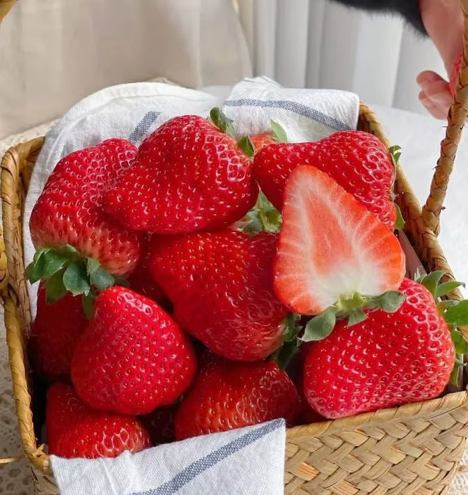 300 SEMILLAS DE FRESAS + GUIA PASO A PASO PARA CULTIVAR