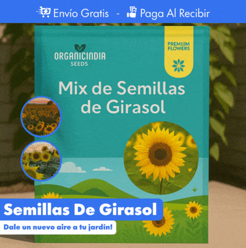 100 SEMILLAS DE GIRASOL + GUIA PASO A PASO PARA CULTIVAR 🌻