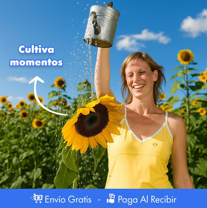 100 SEMILLAS DE GIRASOL + GUIA PASO A PASO PARA CULTIVAR 🌻