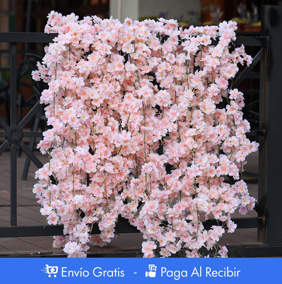 Semillas Wisteria - Árbol Chino - Decorativas PREMIUM 🌸